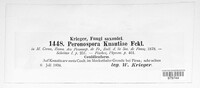 Peronospora knautiae image